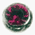 ruby.gif (1224 バイト)