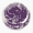 amethyst.gif (336 �o�C�g)